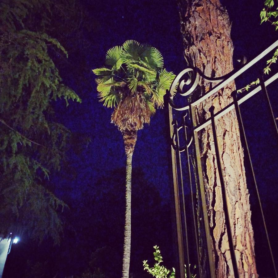 Villa Al Ponte Case Malva Экстерьер фото